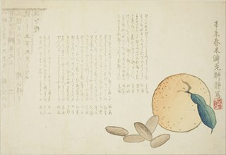 Tangerine and Chinese Legend, spring 1871, Kosei, Japanese, active late 19th century, Japan, Color