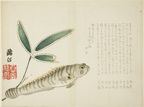 Fish and Bamboo, 1860s, Maezawa Otei, Japanese, 1827-?, Japan, Color woodblock print, surimono, 24