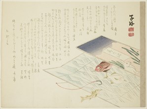 Rabbit and Fish, spring 1855, Shiko, Japanese, active 19th century, Japan, Color woodblock print,