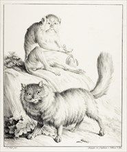 Cat and Monkey, 1814/16, Gottfried Engelmann (French, 1788-1839), after Jean Baptiste Huet (French,