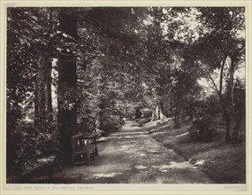 Leamington, in the Jephson Gardens, 1860/94, Francis Bedford, English, 1816–1894, England, Albumen