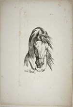 Detail of Horse’s Head, Enlarged to Triple Size, Norman Royal Guard, No. 1, c. 1818, Carle Vernet