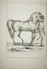 Royal Guard, Norman Cavalier, not in Full Dress, and Horse, No. 3, c. 1818, Carle Vernet (French,
