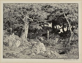Oak from Rocks, 1861, Théodore Rousseau (French, 1812-1867), printed by Auguste Delâtre (French,