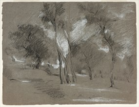Landscape with Trees, n.d., Jean Baptiste Carpeaux, French, 1827-1875, France, Black and white