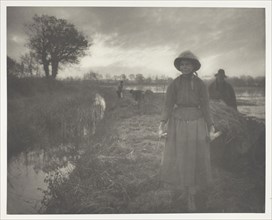 Poling the Marsh Hay, 1886, Peter Henry Emerson, English, born Cuba, 1856–1936, England, Platinum