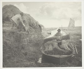 Ricking the Reed, 1886, Peter Henry Emerson, English, born Cuba, 1856–1936, England, Platinum