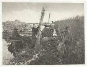During the Reed Harvest, 1886, Peter Henry Emerson, English, born Cuba, 1856–1936, England,
