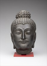 Head of Buddha, Kushan period, 2nd/3rd century, Pakistan, Ancient region of Gandhara, Gandhara,