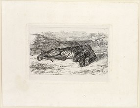 Tiger Resting in the Desert, 1846, Eugène Delacroix, French, 1798-1863, France, Etching on white