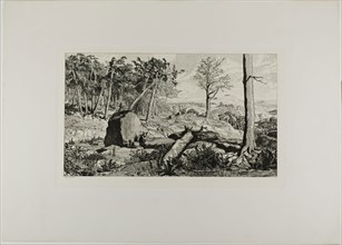 Simplicius in the Solitude of the Forest, plate ten from Intermezzos, 1881, Max Klinger, German,