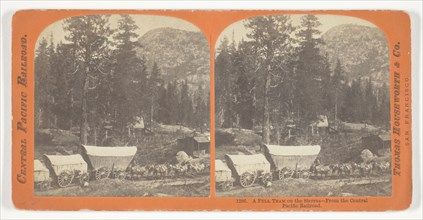 A Full Team on the Sierras, From the Central Pacific Railroad, 1867, Thomas Houseworth & Co.,