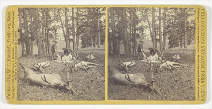 Successful Hunters dressing Elk, 1876, William I. Marshall, American, active late 19th century,