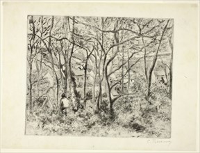 Woodlands at the Hermitage, 1879, Camille Pissarro, French, 1830-1903, France, Aquatint, soft