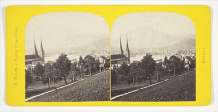 Lucerne, 1850/77, A. Braun, French, 1811–1877, France, Albumen print, stereo, from the series