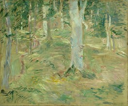 Forêt de Compiègne, 1885, Berthe Morisot, French, 1841-1895, France, Oil on canvas, 21 3/8 × 25 1/2