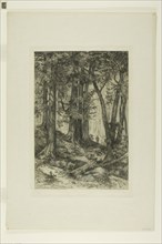 A California Forest, 1888, Mary Nimmo (American, 1842-1899), Thomas Moran (American, born England,