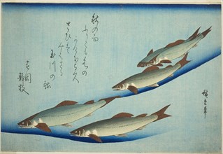 River trout, c. 1832/44, Utagawa Hiroshige ?? ??, Japanese, 1797-1858, Japan, Color woodblock
