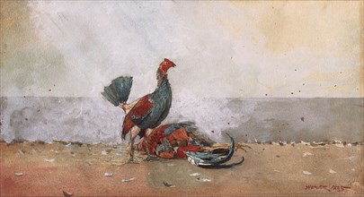 The Cock Fight, 1885, Winslow Homer, American, 1836-1910, United States, Transparent and opaque