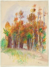 Grove of Trees, 1888/90, Pierre Auguste Renoir, French, 1841-1919, France, Opaque and transparent