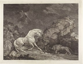 A Horse Frightened by a Lion, 1777, George Stubbs, English, 1724-1806, England, Etching with