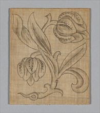 Slip (Unfinished), 17th century, England, Linen, plain weave, drawing in graphite, 20.3 × 16.8 cm