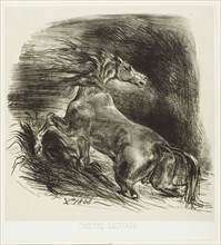 Wild Horse or Frightened Horse Leaving the Water, 1828, Eugène Delacroix, French, 1798-1863,