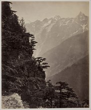 Untitled, c. 1865, Samuel Bourne, English, 1834–1912, England, Albumen print, 28.7 × 23.5 cm