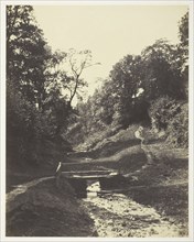 Scene near Godalming, Surrey, c. 1856, Alfred Rosling, English, 1802–1880s, England, Albumen print,