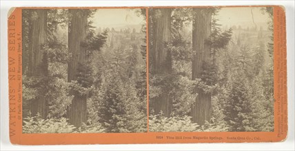 Vine Hill from Magnetic Springs. Santa Cruz Co., Cal., 1878/82, Carleton Watkins, American,
