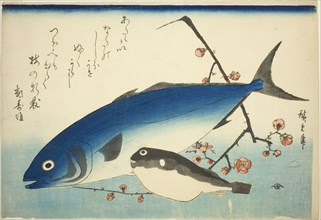 Yellowtail, blowfish, and plum branch, c. 1840/42, Utagawa Hiroshige ?? ??, Japanese, 1797-1858,