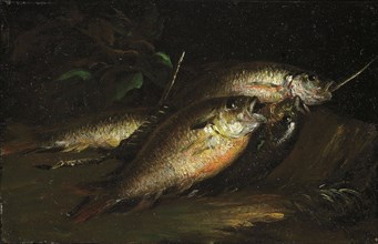 Fish, 1842, Shepard Alonzo Mount, American, 1804–1868, United States, Oil on panel, 17.2 × 27.3 cm