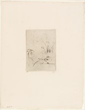 The Duck, 1889, Berthe Morisot, French, 1841-1895, France, Drypoint in black on cream laid paper,