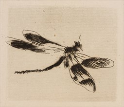 Dragonfly, plate 1 from Le Fleuve, 1874, Édouard Manet (French, 1832-1883), written by Charles Cros