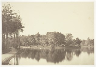Untitled, c. 1850, Charles Marville, French, 1813–1879, France, Albumen print, from the series