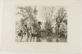 The Willows at Mottiaux, 1868, Felix Bracquemond, French, 1833–1914, France, Etching on cream laid