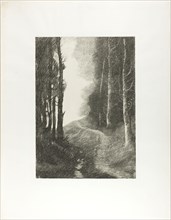 Landscape with Birch Trees, 1878, Alphonse Legros (French, 1837-1911), printed by Lemercier et