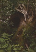 The Squirrel, 1860s/70s, Seymour Joseph Guy, American, born England, 1824–1910, United States, Oil