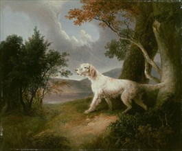 Landscape with Dog, 1832, Thomas Doughty, American, 1793–1856, United States, Oil on composition