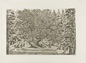 The Fountain of the Oak, 1653/55, Stefano della Bella, Italian, 1610-1664, Italy, Etching on ivory