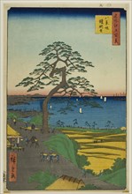 The Armor-hanging Pine at Hakkeizaka (Hakkeizaka Yoroikakematsu), from the series One Hundred