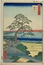 The Armor-hanging Pine at Hakkeizaka (Hakkeizaka Yoroikakematsu), from the series One Hundred
