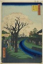 Blossoms on the Tama River Embankment (Tamagawa-zutsumi no hana), from the series One Hundred