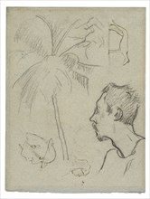 Sketches of Figures and Foliage (recto), Profile of Charles Laval with Palm Tree and Other Sketches