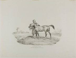 An Arabian Horse, plate 8 from Various Subjects Drawn from Life on Stone, 1821, Jean Louis André