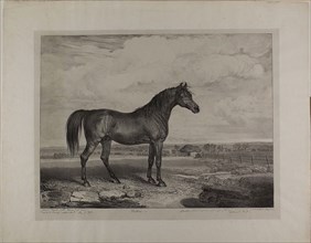 Walton, 1823, James Ward, English, 1769-1859, England, Lithograph on ivory chine, laid down on