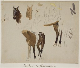 Studies of Horses, n.d., Jules-Élie Delaunay, French, 1828-1891, France, Graphite, with ink wash