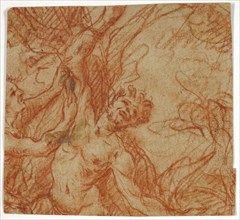 Flaying of Marsyas, n.d., Unknown Artist, French, 18th century, France, Red chalk on tan laid
