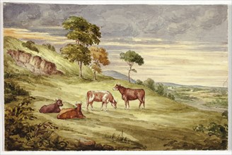 Deer Park, possibly Kilkenny, 1843, Elizabeth Murray, English, c. 1815-1882, England, Watercolor