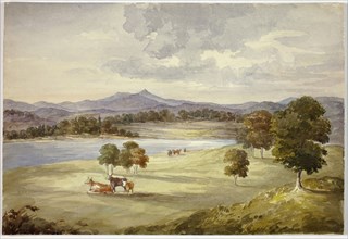 Cows in Landscape, n.d., Elizabeth Murray, English, c. 1815-1882, England, Watercolor over traces